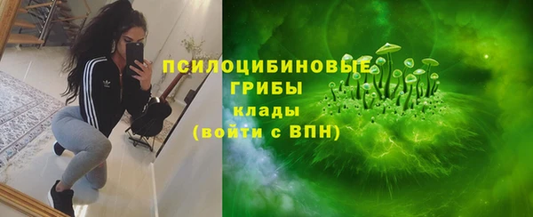 трава Новокубанск