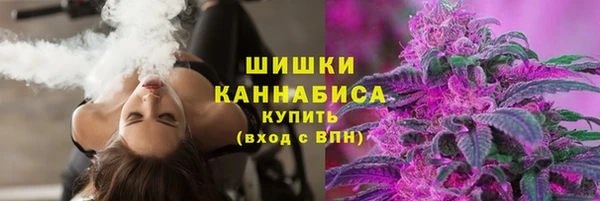 мет Новозыбков