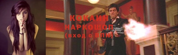 трава Новокубанск