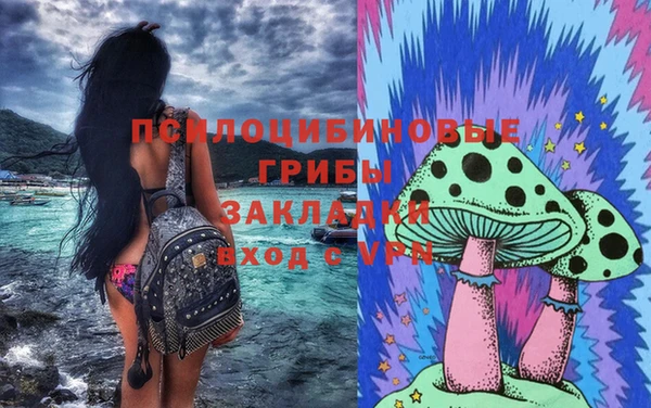индика Ишимбай