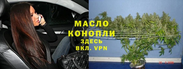 мет Новозыбков
