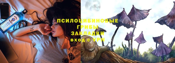 трава Новокубанск